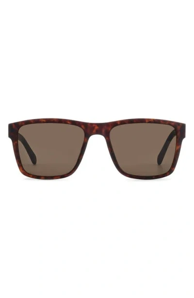 Fossil 56mm Square Sunglasses In Brown