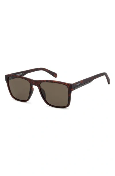 Fossil 56mm Square Sunglasses In Brown