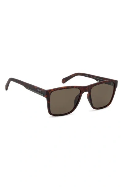 Fossil 56mm Square Sunglasses In Brown
