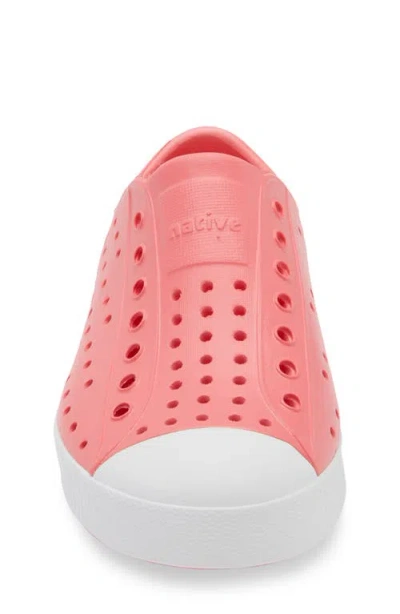 Native Shoes Jefferson Sugarlite Water Resistant Sneaker