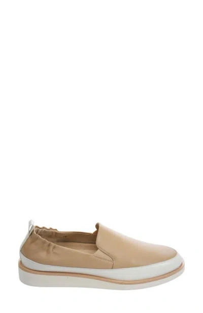 Vaneli Quin Slip-on Sneaker In Brown