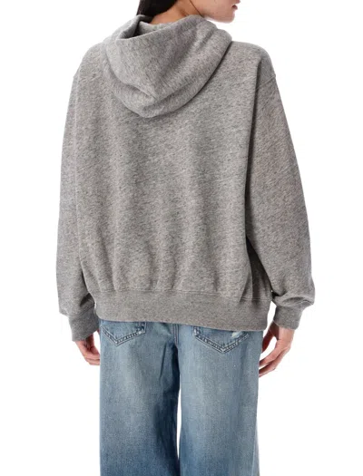 Polo Ralph Lauren Polo Bear Embroidered Fleece Graphic Hoodie In Gray