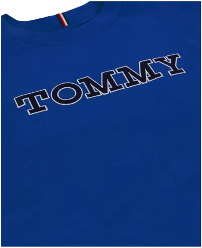 Tommy Hilfiger Little And Toddler Boys Sleeve Blocking Short Sleeve T-shirt In Blue