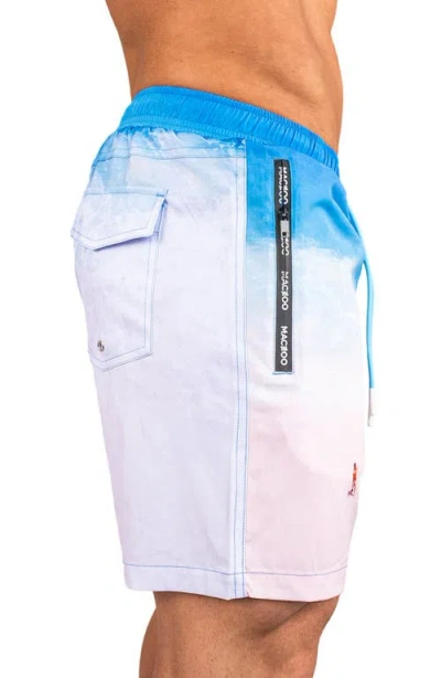 Maceoo Swim Lion Beach Swim Trunks In Multi