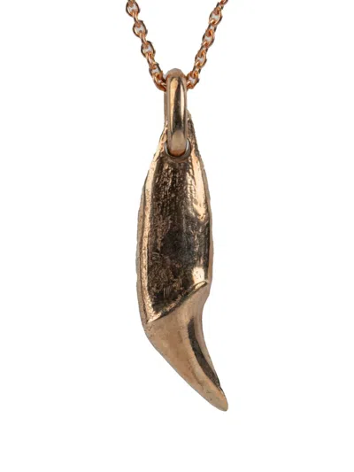 Parts Of Four Bear-tooth Necklace In Brown