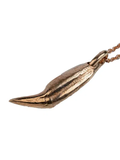 Parts Of Four Bear-tooth Necklace In Brown