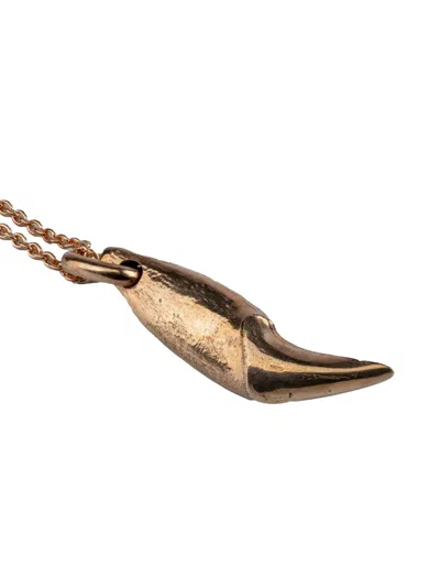 Parts Of Four Bear-tooth Necklace In Brown