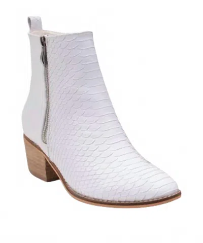Ccocci Women's Tory Croc Booties In White