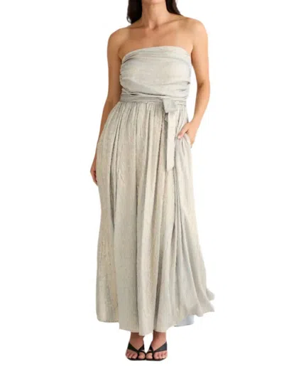 Brave + True Avalon Dress In Champagne In Gray