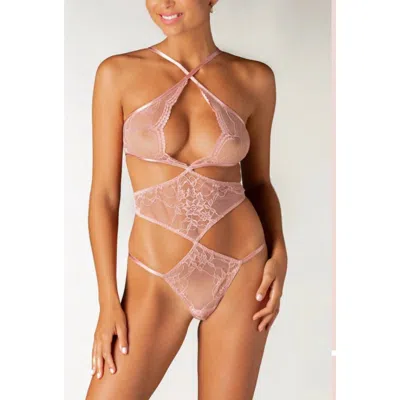 Coco De Mer Alice Semi Sheer Stretch Lace Bodysuit In Pink In Pink
