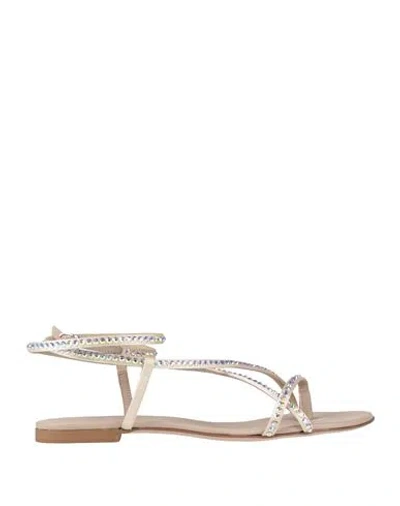 Le Silla Woman Thong Sandal Ivory Size 6.5 Textile Fibers In Neutral