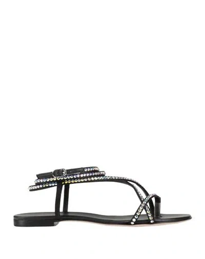 Le Silla Woman Thong Sandal Black Size 6.5 Textile Fibers In Black