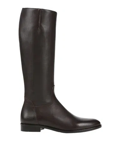Calpierre Woman Boot Dark Brown Size 7.5 Leather