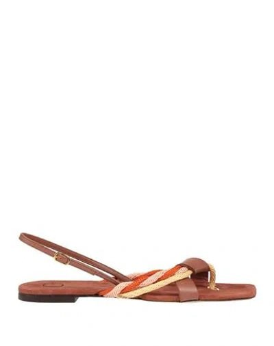 C Love Woman Thong Sandal Brown Size 7 Leather, Textile Fibers