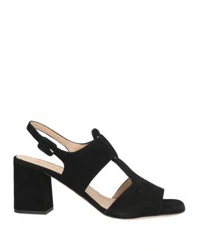 Luca Grossi Woman Sandals Black Size 6 Leather In Black