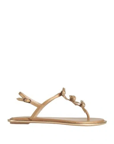 René Caovilla Rene' Caovilla Woman Thong Sandal Camel Size 11 Lambskin In Brown