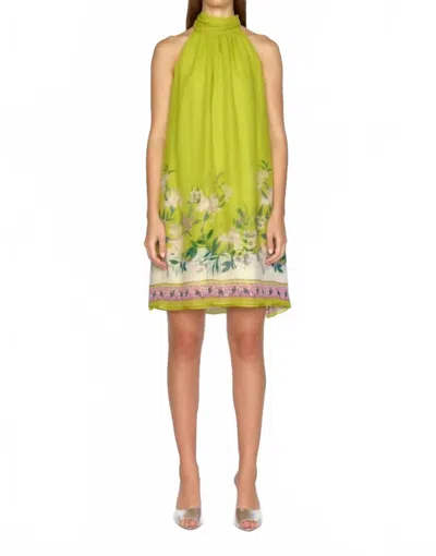 Christy Lynn Tula Dress In Acacia Coast Border