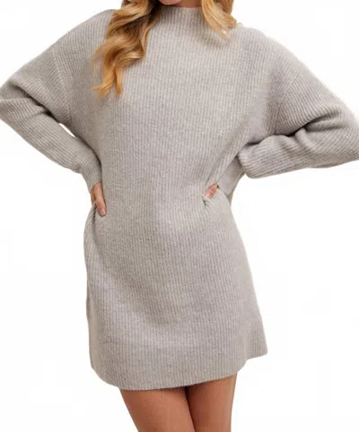 Bluivy Birch Mock Neck Mini Sweater Dress In Grey In Gray