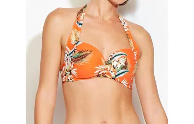 Seafolly Ocean Alley Halter Bikini Top In Tangelo In Orange