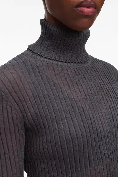 A Days March Amy Sheer Ribbed Rollerneck In Black