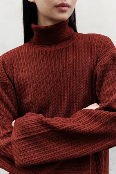 A Days March Detroit Cable Merino Rollerneck Dress In Burgundy