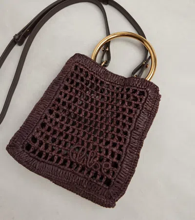 Chloé Summer Banana Mini Raffia Crossbody Bag