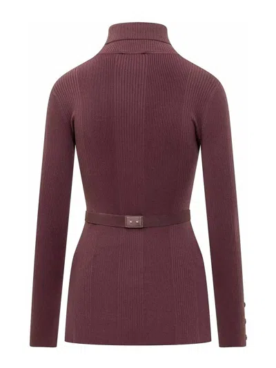 Elisabetta Franchi Sweaters In Purple