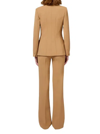 Elisabetta Franchi Dress In Neutral