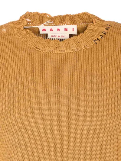 Marni Distressed Long Sleeve Ruffled Neckline Sweater In Brown