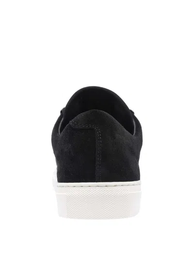 Stone Island Low Top Suede Sneakers