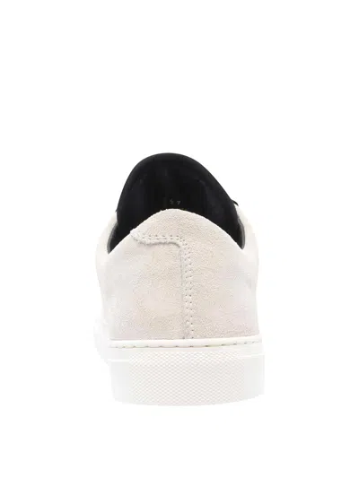 Stone Island Logo Sneakers In Multi