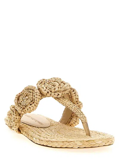 Stuart Weitzman Magnolia Slides