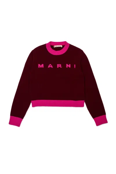 Marni Maglione Girocollo In Misto Lana-cashmere Colorblock In Pink