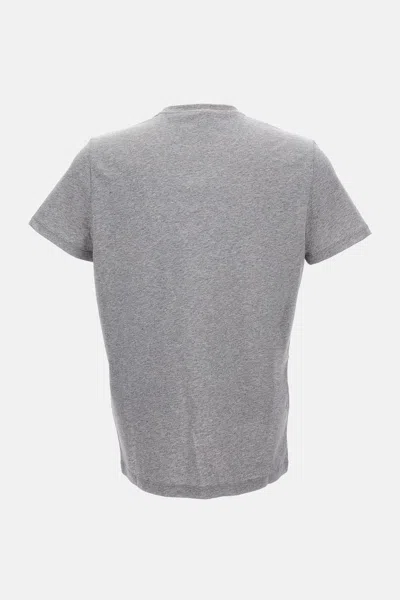 Ralph Lauren Bear Graphic Print Tshirt With Short Sleeves In Gray