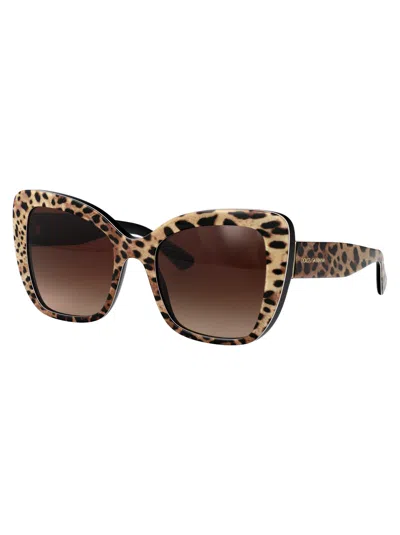 Dolce & Gabbana Butterfly Sunglasses 0 Dg4348 316313 In Brown