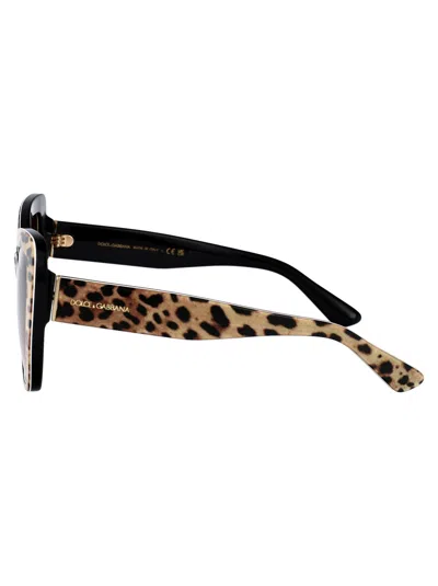 Dolce & Gabbana Butterfly Sunglasses 0 Dg4348 316313 In Brown