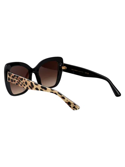 Dolce & Gabbana Butterfly Sunglasses 0 Dg4348 316313 In Brown