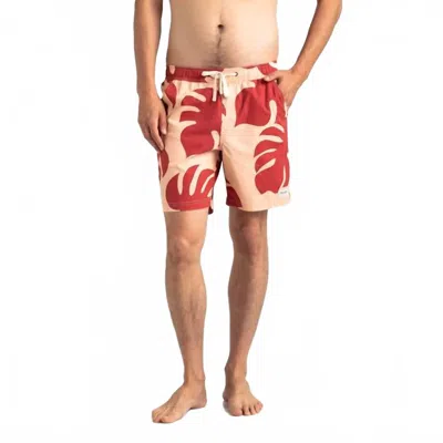 Banks Journal Fronds Boardshort In Print In Neutral