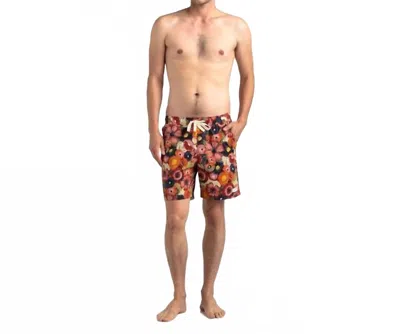 Banks Journal Lotus Boardshorts In Mahogany In Multi