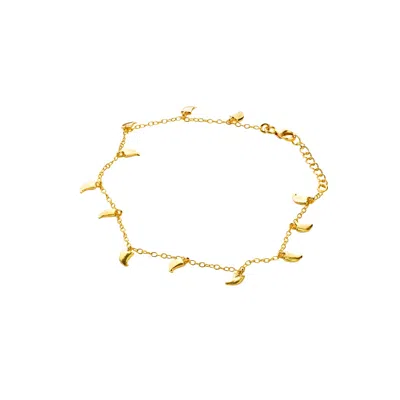 Rize Women's Wild Tiger Claw Anklet - Gold Vermeil