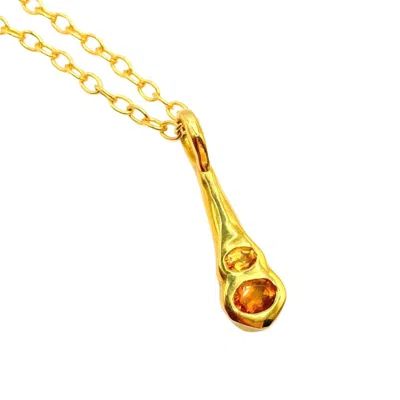 Amy Delson Jewelry Women's Yellow / Orange / Gold Olivia - Ombré Dark Light Orange Citrine Two Stone Gold Pendant Neckl