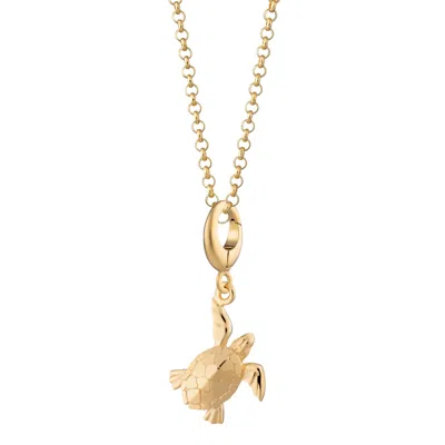 Lily Charmed Women's Gold Plated Turtle Charm Necklace