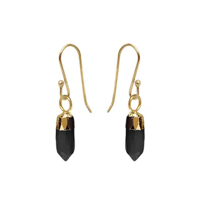 Mirabelle Jewellery Women's Mini Point Black Onyx Earrings