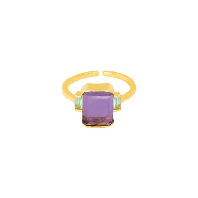 Lavani Jewels Women's Gold / Pink / Purple Purple & Gold Plated Mystere Ring