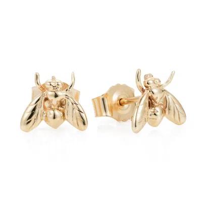 Yasmin Everley Jewellery Women's Solid Gold Little Fly Stud Earrings