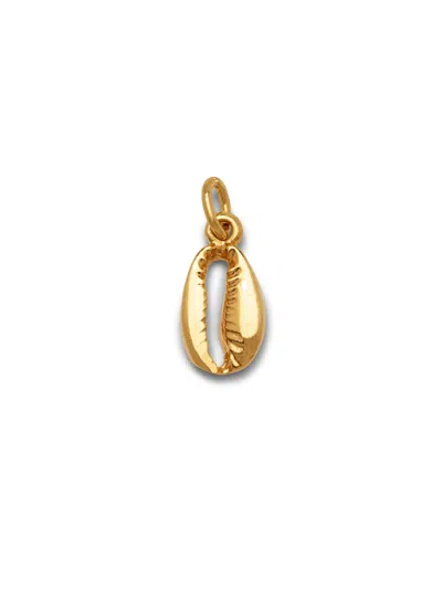 Jaredjamin Women's Gold Cowrie Necklace Pendant Charm Small