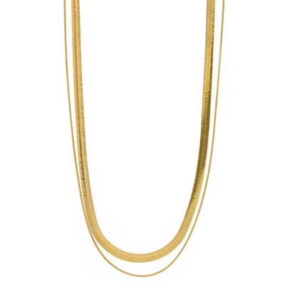 Timi Of Sweden Women's Gold Ivy - Double Snake Chain Necklace Stainless Steel