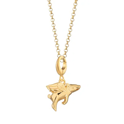 Lily Charmed Women's Gold Plated Flying Pig Charm Necklace