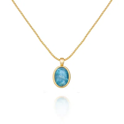 Arctic Fox & Co. Women's Blue / Gold The Large Turquoise Pendant Necklace In Multi