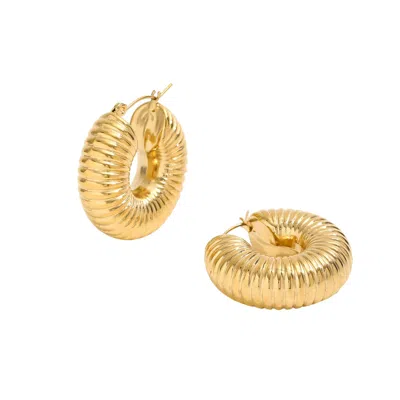 Bermuda Watch Company Women's Annie Apple Lilia Chubby Hoop Gold Ridge Earrings